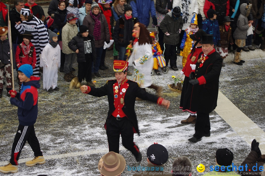 Narrentreffen: Rielasingen am Bodensee, 29.01.2012