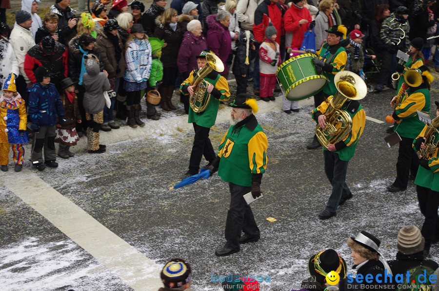 Narrentreffen: Rielasingen am Bodensee, 29.01.2012