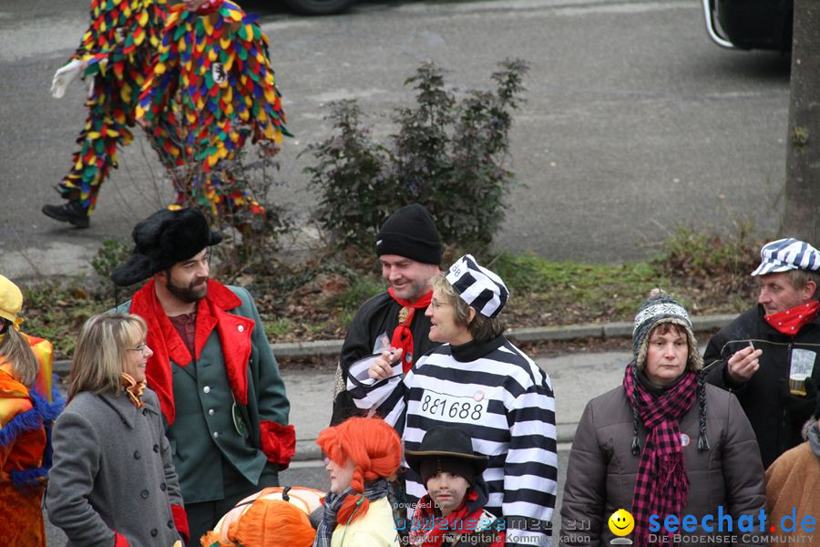 Narrentreffen: Rielasingen am Bodensee, 29.01.2012