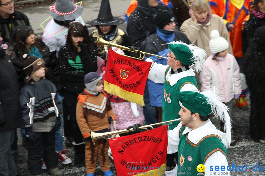 Narrentreffen: Rielasingen am Bodensee, 29.01.2012