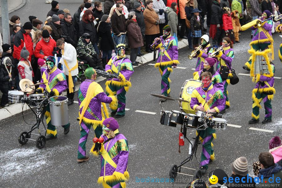 Narrentreffen: Rielasingen am Bodensee, 29.01.2012