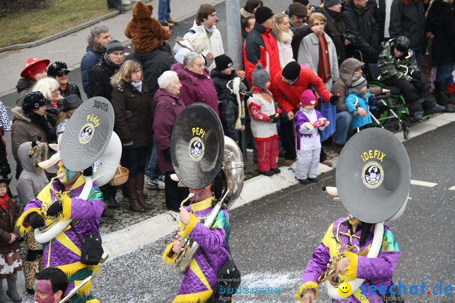 Narrentreffen: Rielasingen am Bodensee, 29.01.2012