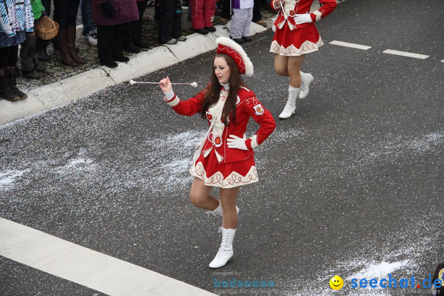 Narrentreffen: Rielasingen am Bodensee, 29.01.2012