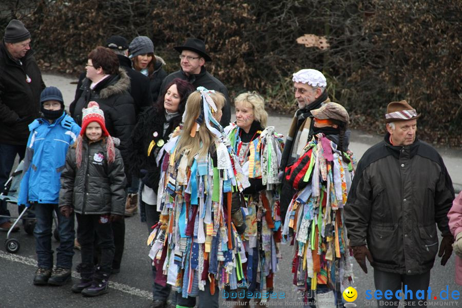 Narrentreffen: Rielasingen am Bodensee, 29.01.2012