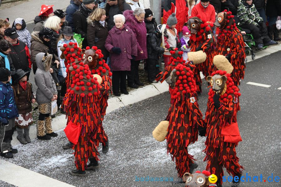 Narrentreffen: Rielasingen am Bodensee, 29.01.2012