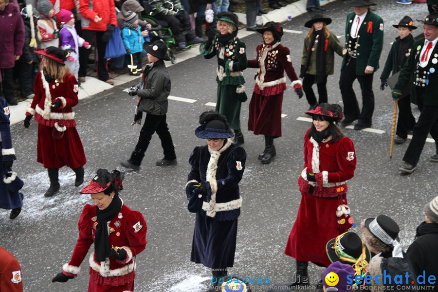 Narrentreffen: Rielasingen am Bodensee, 29.01.2012