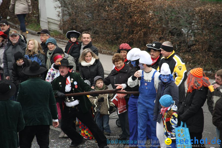 Narrentreffen: Rielasingen am Bodensee, 29.01.2012