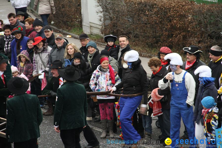 Narrentreffen: Rielasingen am Bodensee, 29.01.2012