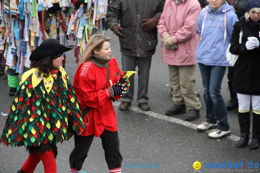 Narrentreffen: Rielasingen am Bodensee, 29.01.2012