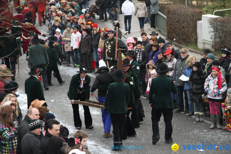 Narrentreffen: Rielasingen am Bodensee, 29.01.2012