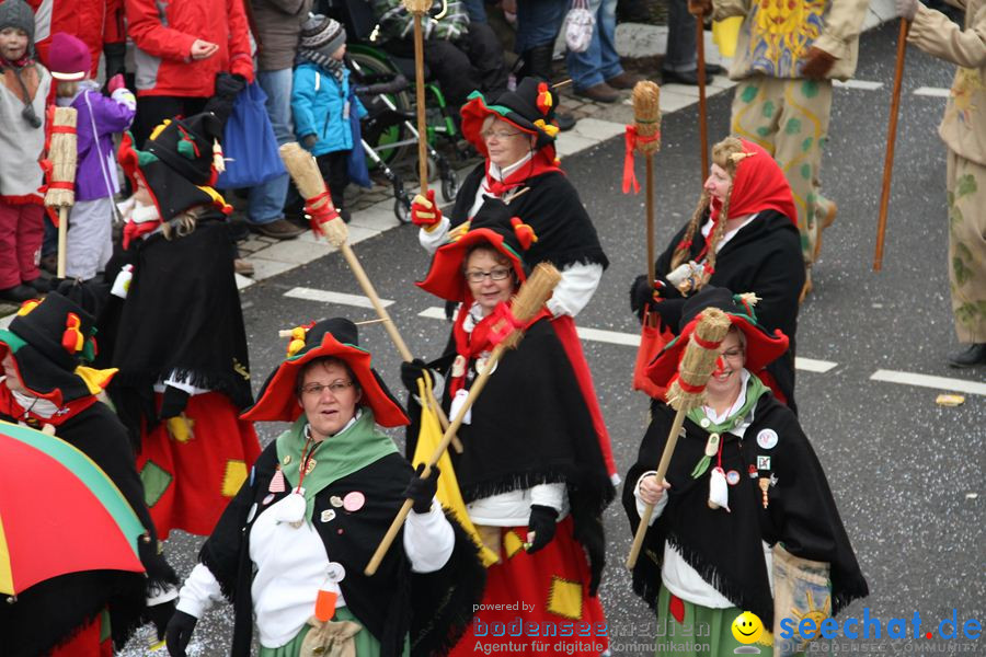 Narrentreffen: Rielasingen am Bodensee, 29.01.2012