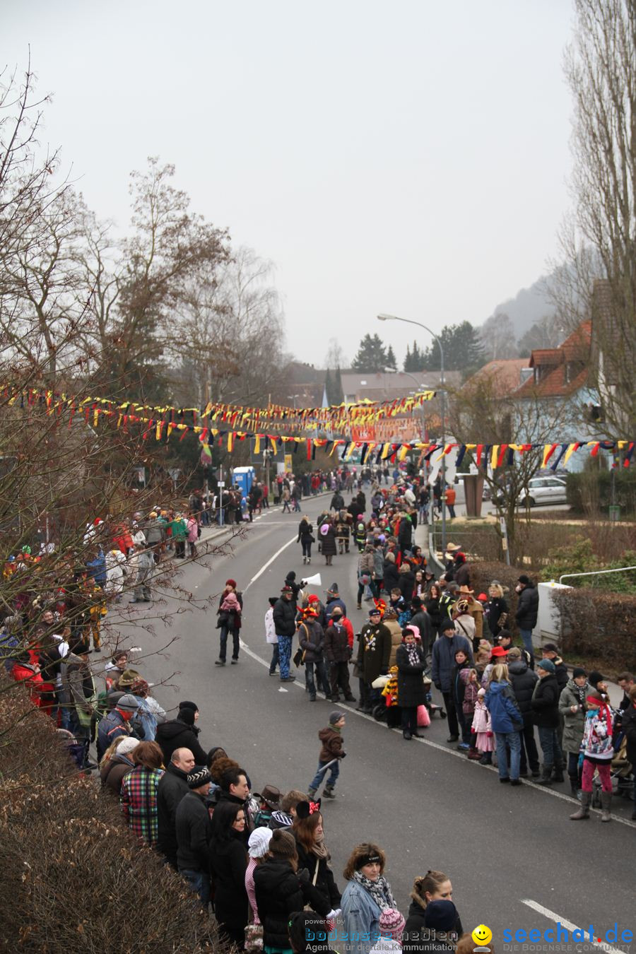 Narrentreffen: Rielasingen am Bodensee, 29.01.2012