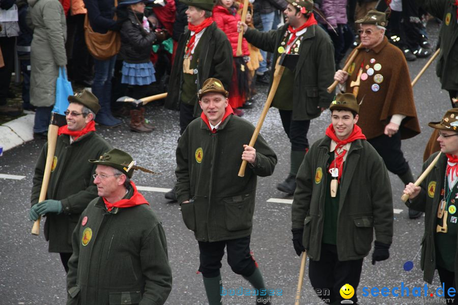 Narrentreffen: Rielasingen am Bodensee, 29.01.2012