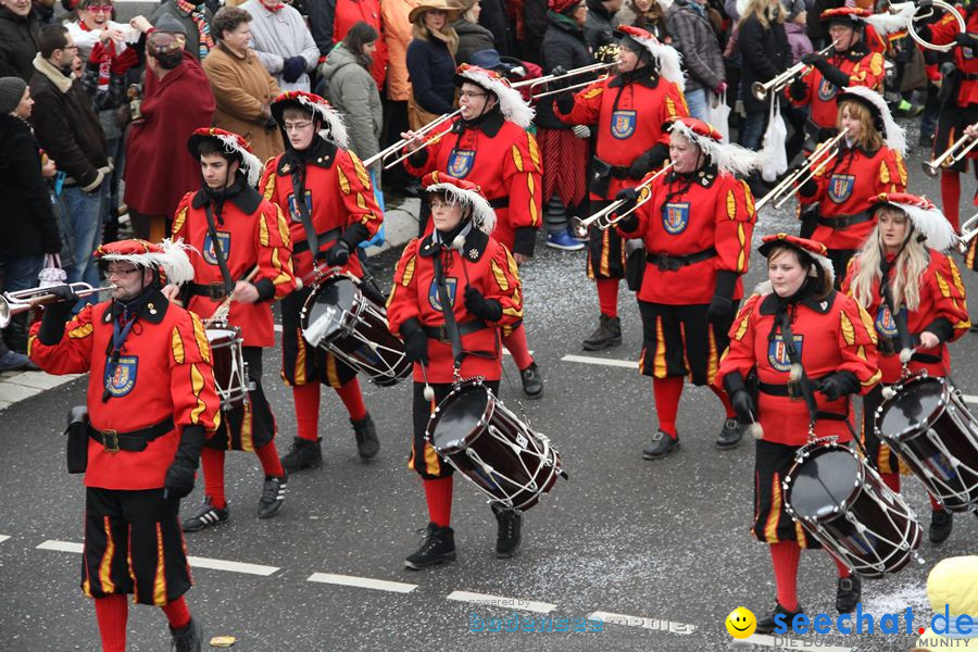 Narrentreffen: Rielasingen am Bodensee, 29.01.2012