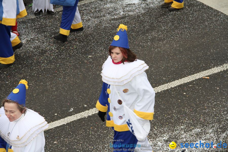 Narrentreffen: Rielasingen am Bodensee, 29.01.2012