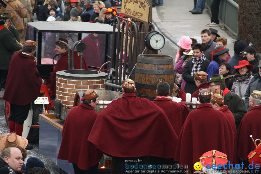 Narrentreffen: Rielasingen am Bodensee, 29.01.2012