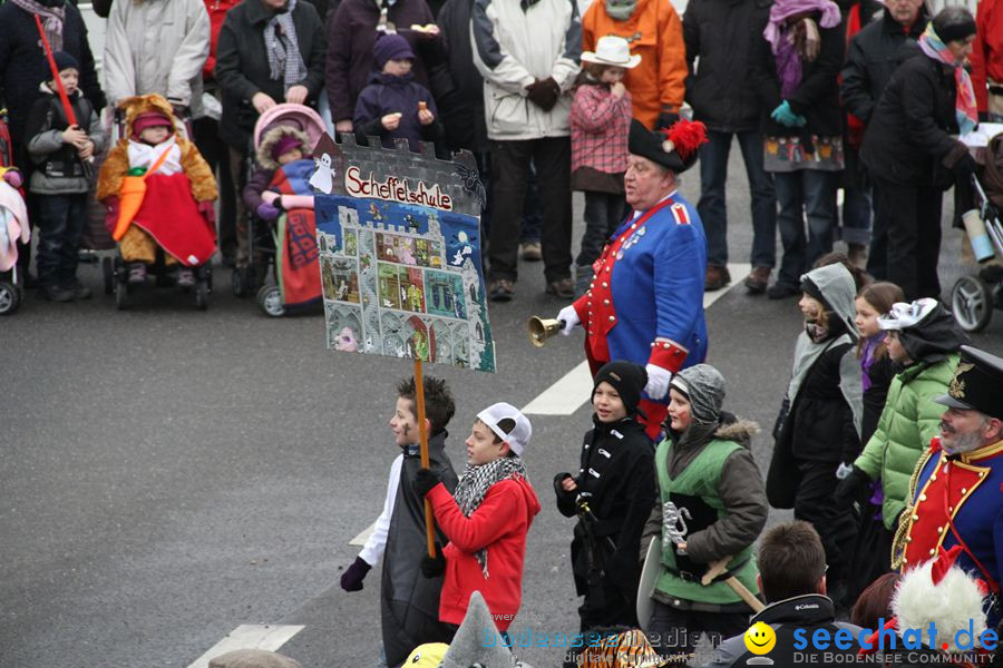 Narrentreffen: Rielasingen am Bodensee, 29.01.2012