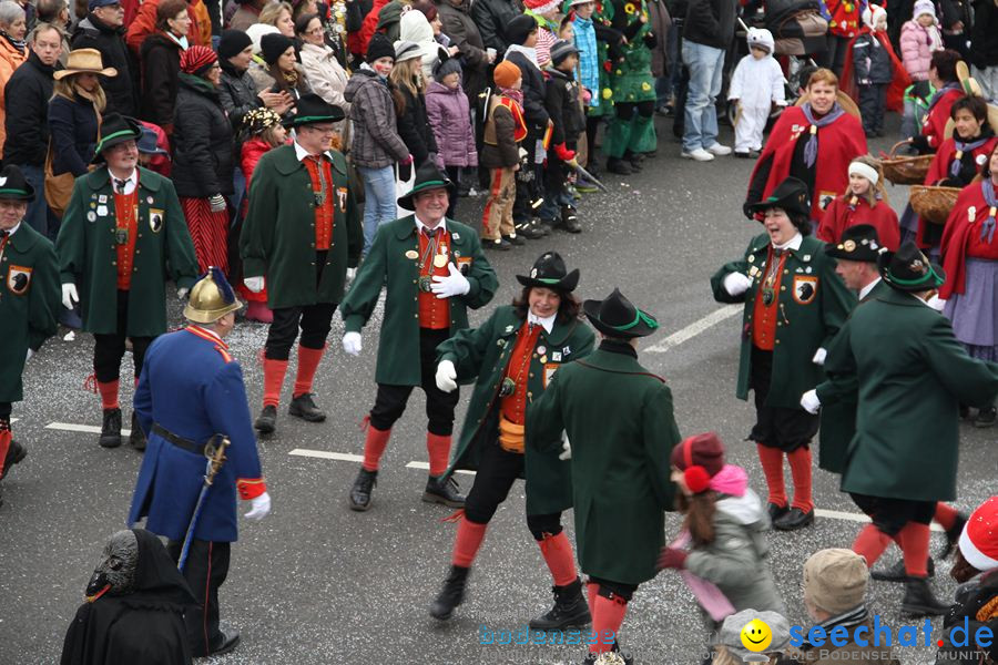 Narrentreffen: Rielasingen am Bodensee, 29.01.2012