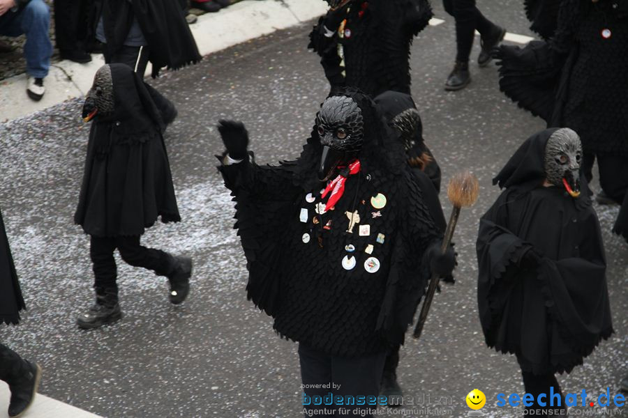 Narrentreffen: Rielasingen am Bodensee, 29.01.2012