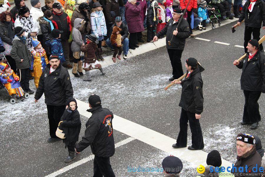 Narrentreffen: Rielasingen am Bodensee, 29.01.2012