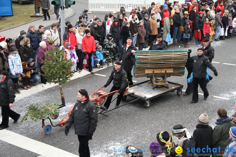 Narrentreffen: Rielasingen am Bodensee, 29.01.2012