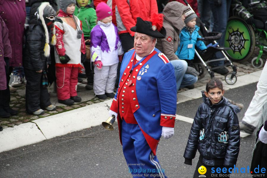 Narrentreffen: Rielasingen am Bodensee, 29.01.2012