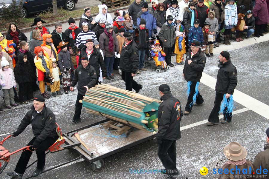 Narrentreffen: Rielasingen am Bodensee, 29.01.2012