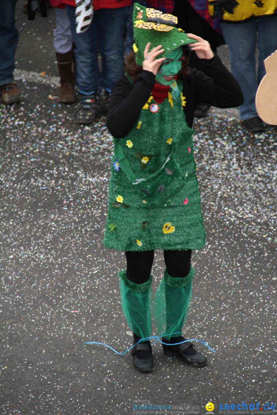 Narrentreffen: Rielasingen am Bodensee, 29.01.2012