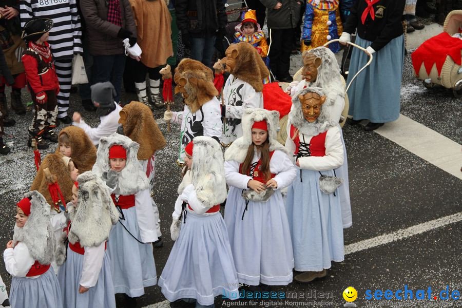 Narrentreffen: Rielasingen am Bodensee, 29.01.2012