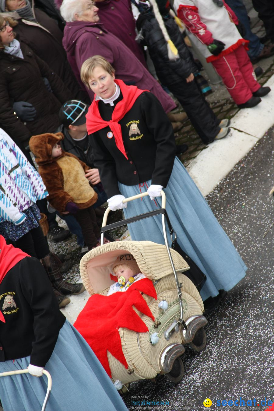 Narrentreffen: Rielasingen am Bodensee, 29.01.2012