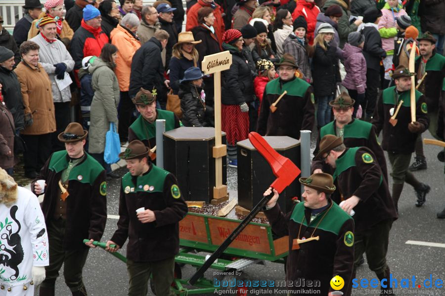 Narrentreffen: Rielasingen am Bodensee, 29.01.2012