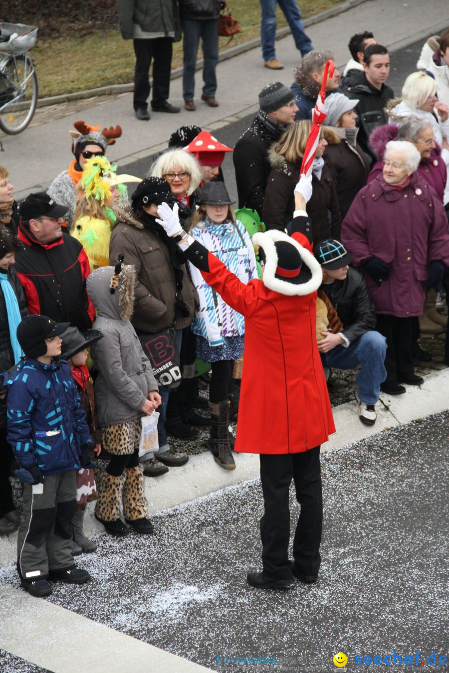 Narrentreffen: Rielasingen am Bodensee, 29.01.2012