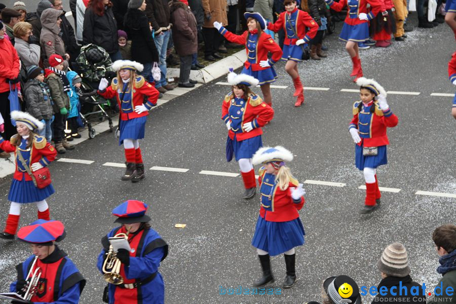 Narrentreffen: Rielasingen am Bodensee, 29.01.2012