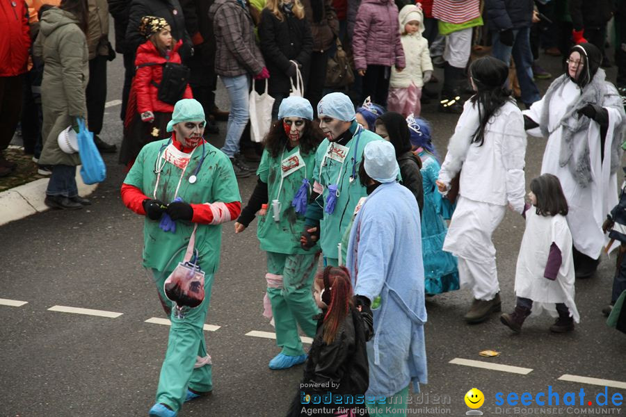 Narrentreffen: Rielasingen am Bodensee, 29.01.2012