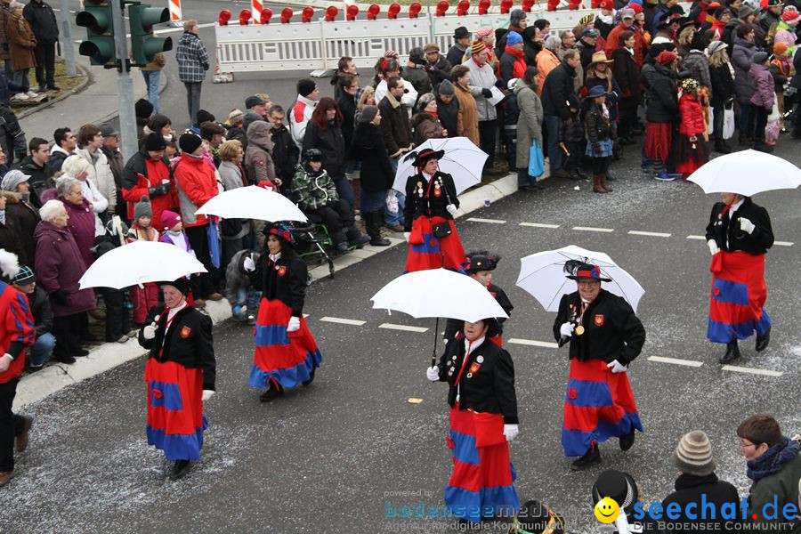 Narrentreffen: Rielasingen am Bodensee, 29.01.2012