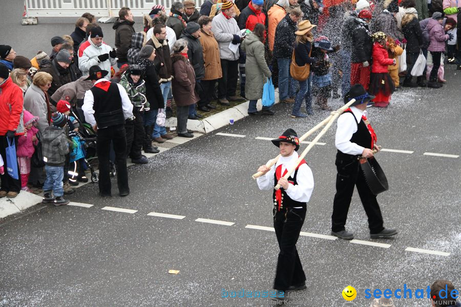 Narrentreffen: Rielasingen am Bodensee, 29.01.2012