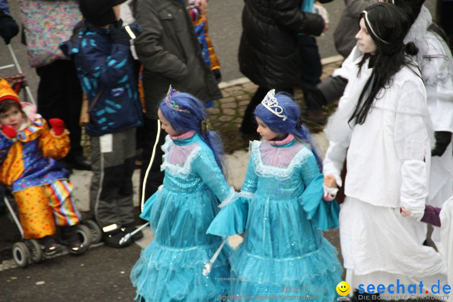 Narrentreffen: Rielasingen am Bodensee, 29.01.2012