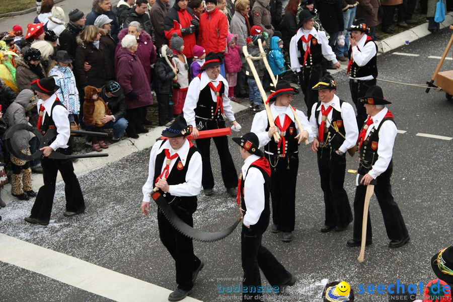 Narrentreffen: Rielasingen am Bodensee, 29.01.2012