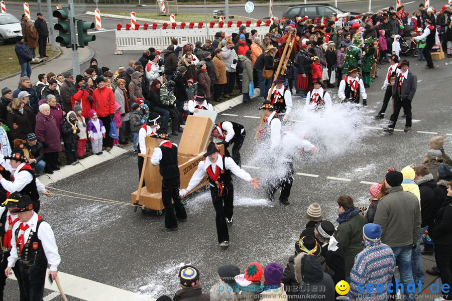 Narrentreffen: Rielasingen am Bodensee, 29.01.2012