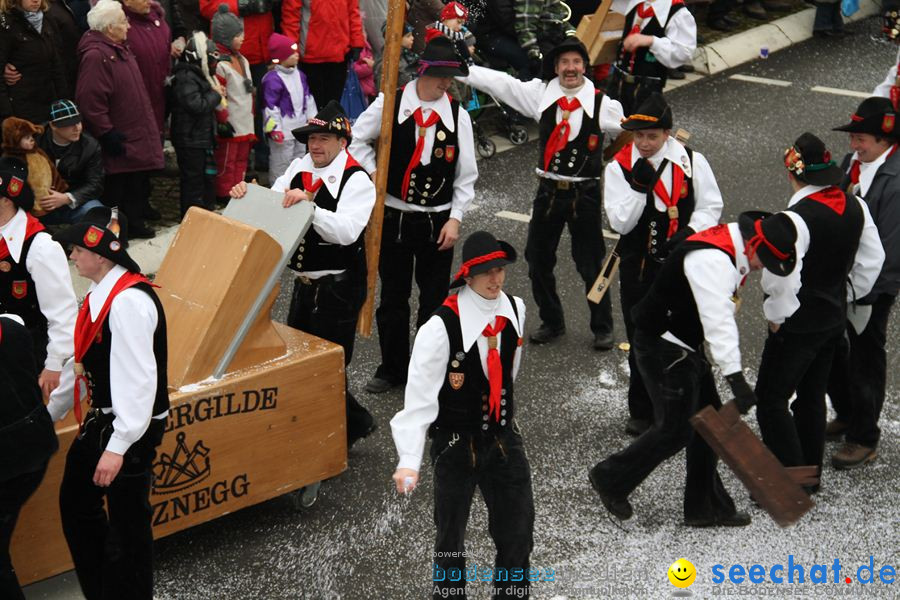 Narrentreffen: Rielasingen am Bodensee, 29.01.2012