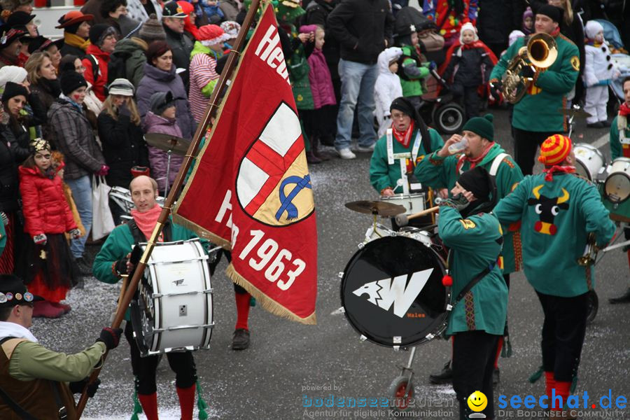 Narrentreffen: Rielasingen am Bodensee, 29.01.2012