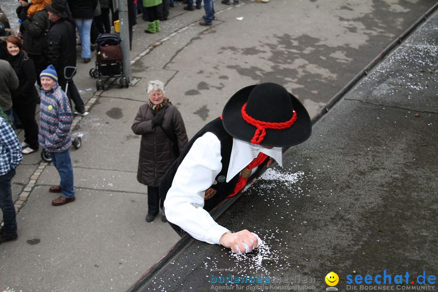 Narrentreffen: Rielasingen am Bodensee, 29.01.2012