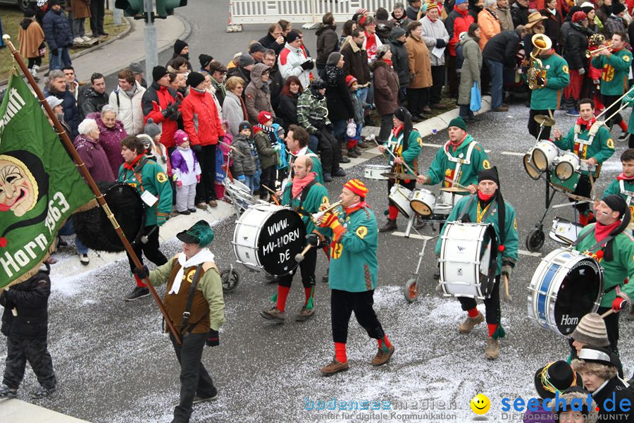 Narrentreffen: Rielasingen am Bodensee, 29.01.2012