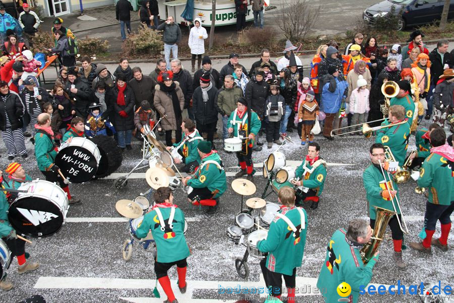 Narrentreffen: Rielasingen am Bodensee, 29.01.2012