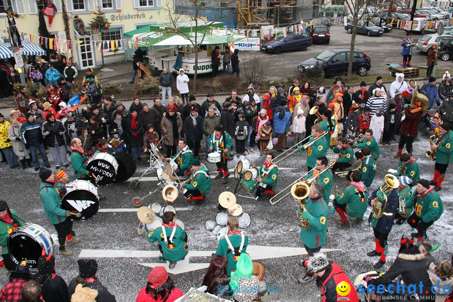 Narrentreffen: Rielasingen am Bodensee, 29.01.2012