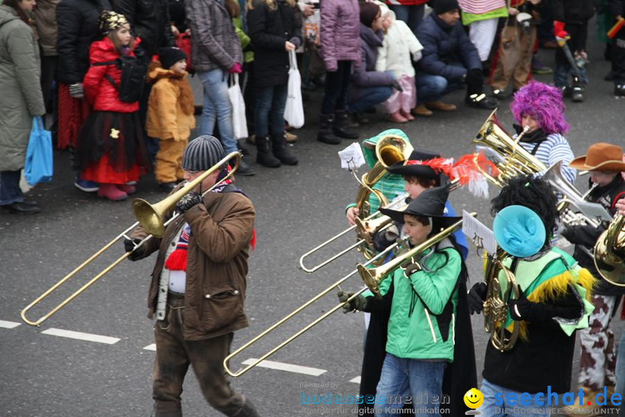 Narrentreffen: Rielasingen am Bodensee, 29.01.2012