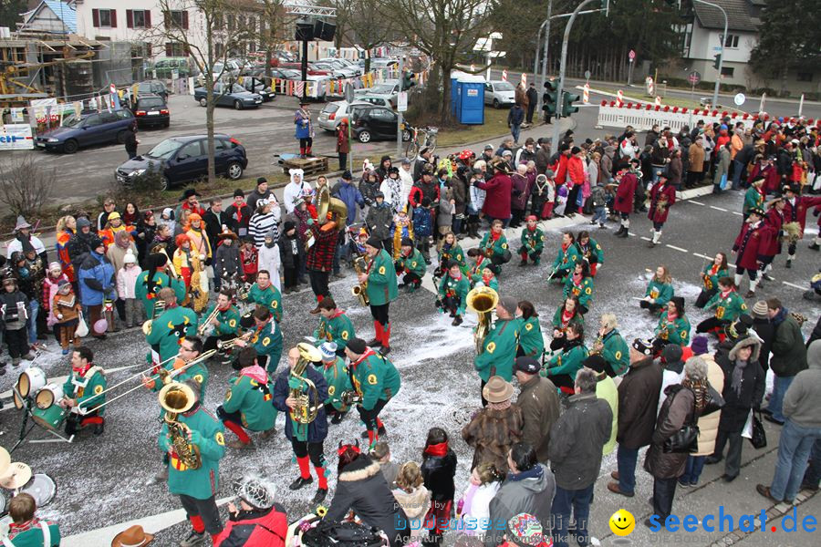 Narrentreffen: Rielasingen am Bodensee, 29.01.2012