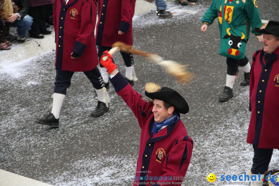 Narrentreffen: Rielasingen am Bodensee, 29.01.2012