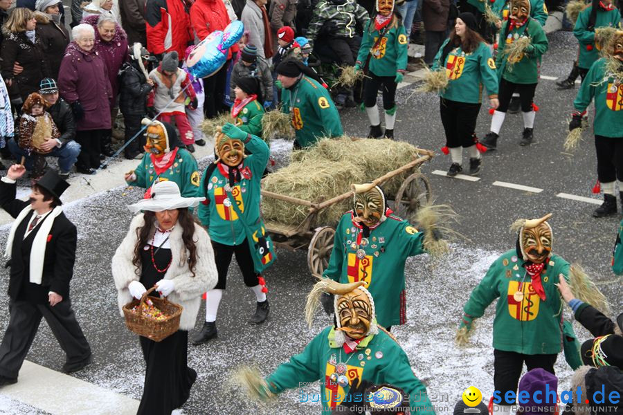 Narrentreffen: Rielasingen am Bodensee, 29.01.2012