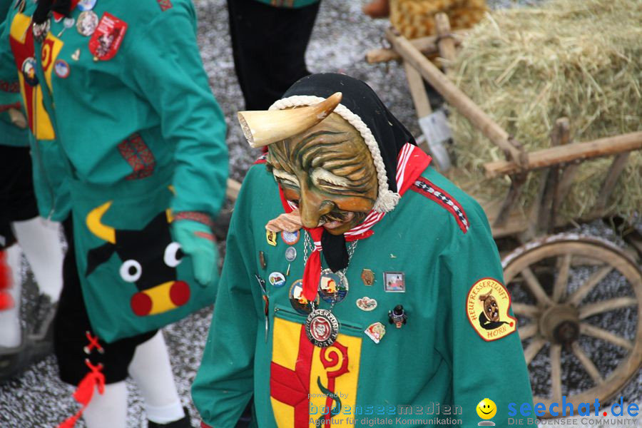 Narrentreffen: Rielasingen am Bodensee, 29.01.2012